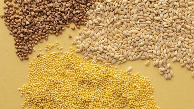 再有一家越南企业在古巴马里埃尔发展特区设立分公司 ảnh 2