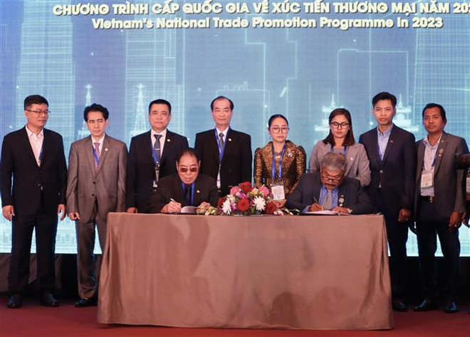 越南国际腰果大会:全球腰果产业的“黄金约会地” ảnh 1 越南国际腰果大会:全球腰果产业的“黄金约会地” ảnh 1