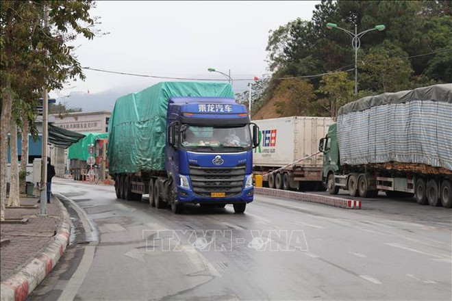 中国重新成为越南农林水产品出口最大市场 ảnh 2 中国重新成为越南农林水产品出口最大市场 ảnh 2