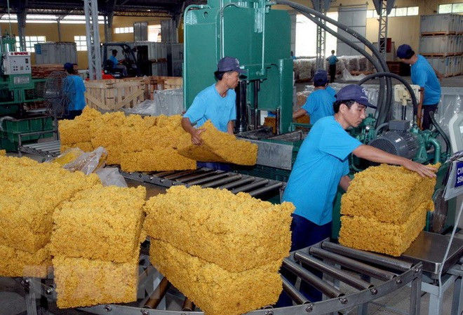 2020年越南橡胶工业集团完成利润计划的122.6% ảnh 1 2020年越南橡胶工业集团完成利润计划的122.6% ảnh 1