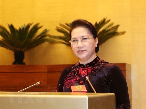 国会主席阮氏金银:进一步提高国会工作质效 ảnh 1 国会主席阮氏金银:进一步提高国会工作质效 ảnh 1