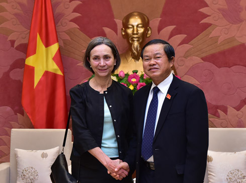 越南国会副主席杜伯巳会见墨西哥驻越大使 ảnh 1 越南国会副主席杜伯巳会见墨西哥驻越大使 ảnh 1