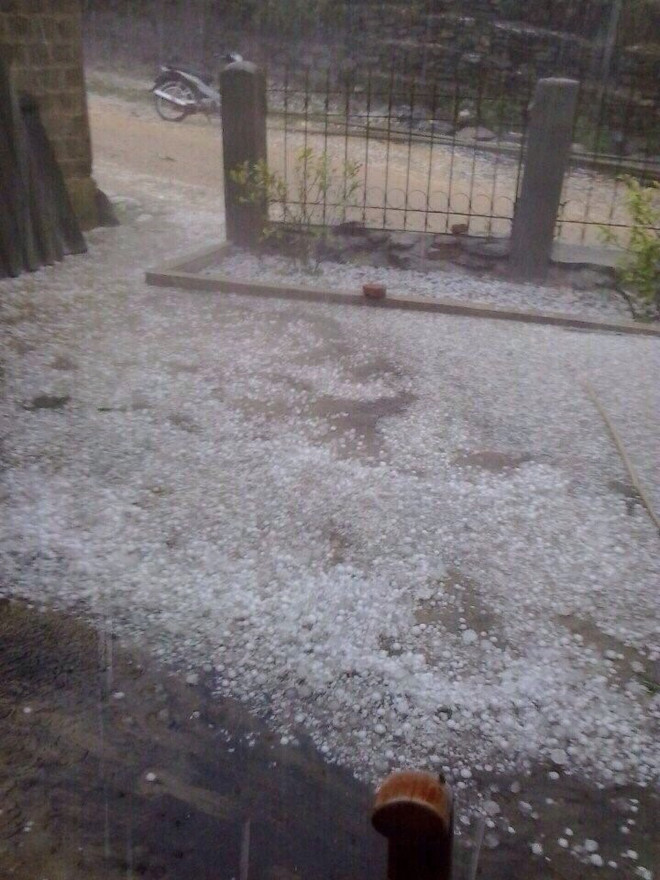 河江和承天顺化两省尽快开展冰雹和龙卷风灾害善后处置工作 ảnh 3