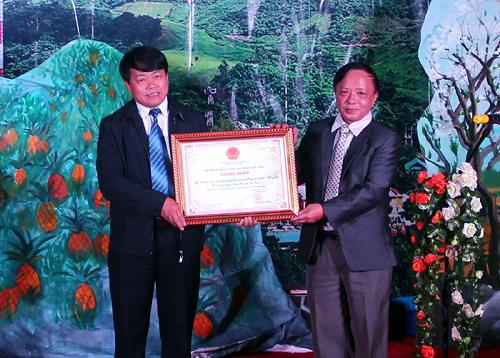 奠边省赫蒙族传统服饰纹样造型艺术被列入国家非物质文化遗产名录 ảnh 1 奠边省赫蒙族传统服饰纹样造型艺术被列入国家非物质文化遗产名录 ảnh 1