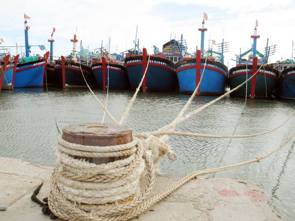 富安省采取紧急措施 克服遭欧盟IUU黄牌警告 ảnh 1 富安省采取紧急措施 克服遭欧盟IUU黄牌警告 ảnh 1