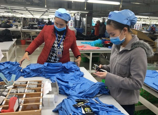 越南有机会与欧盟尽早签署自贸协定 ảnh 1