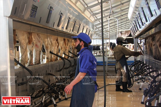 山罗省的三大优势 ảnh 5 山罗省的三大优势 ảnh 5