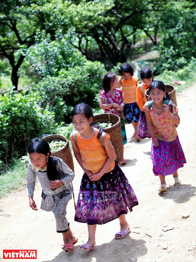 山罗省的三大优势 ảnh 12 山罗省的三大优势 ảnh 12