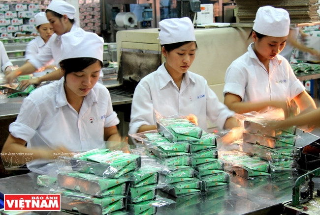 山罗省的三大优势 ảnh 6 山罗省的三大优势 ảnh 6