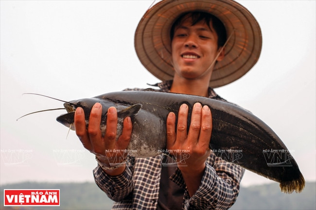 山罗省的三大优势 ảnh 15 山罗省的三大优势 ảnh 15