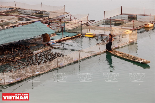 山罗省的三大优势 ảnh 16 山罗省的三大优势 ảnh 16