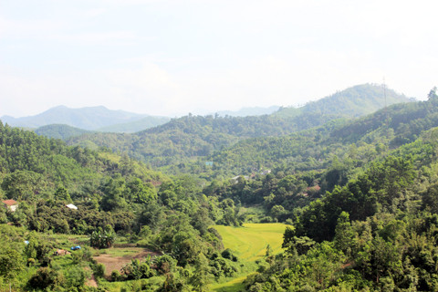 2017年上半年广宁省巴节县经济社会呈现稳定增长之势 ảnh 1