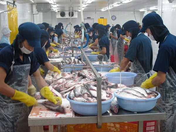 8月2日起出口至美国的全部鲶鱼产品将被实施再检验措施 ảnh 1 8月2日起出口至美国的全部鲶鱼产品将被实施再检验措施 ảnh 1