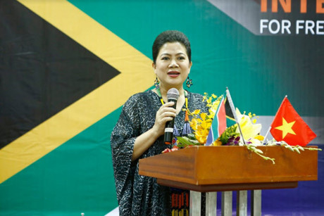 纳尔逊·曼德拉国际日纪念活动在胡志明市举行 ảnh 1 纳尔逊·曼德拉国际日纪念活动在胡志明市举行 ảnh 1