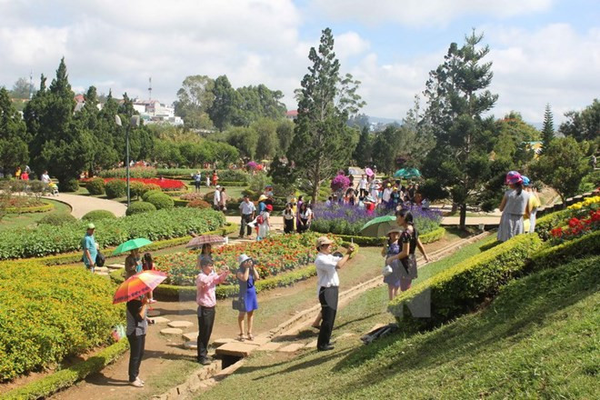今年上半年林同省大叻市接待游客量为295万人次 ảnh 1 今年上半年林同省大叻市接待游客量为295万人次 ảnh 1