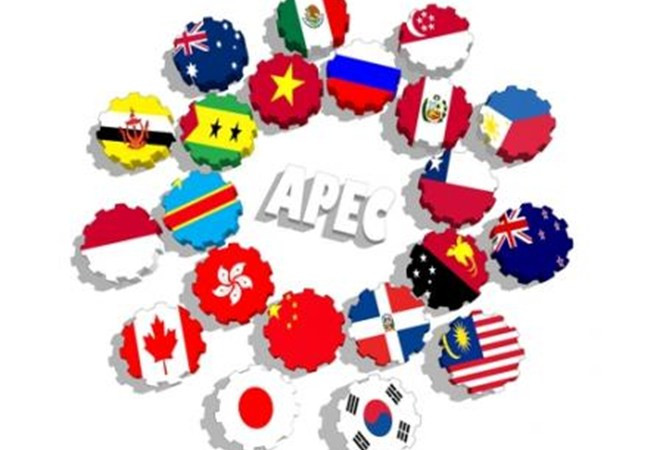 G20 – 越南与APEC 2017 ảnh 1 G20 – 越南与APEC 2017 ảnh 1