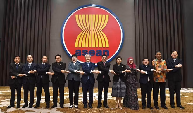 越南共同主持召开东盟-韩国联合合作委员会第九次会议 ảnh 1