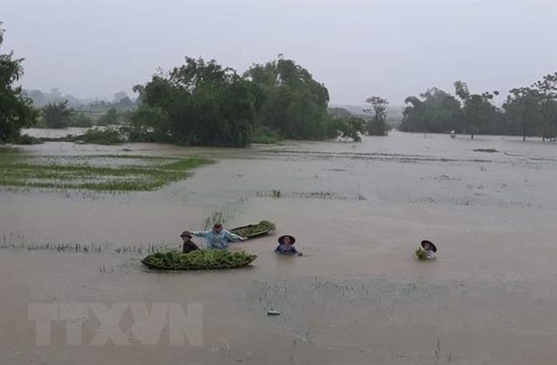 越南北部山区大范围降雨天气将会持续较长时间 ảnh 3 越南北部山区大范围降雨天气将会持续较长时间 ảnh 3