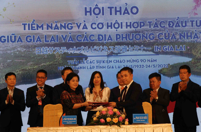 嘉莱省与日本投资合作潜力和机遇 ảnh 4 嘉莱省与日本投资合作潜力和机遇 ảnh 4