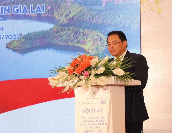 嘉莱省与日本投资合作潜力和机遇 ảnh 2 嘉莱省与日本投资合作潜力和机遇 ảnh 2