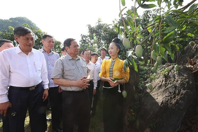 ☕️越通社新闻下午茶（2022.5.28） ảnh 3