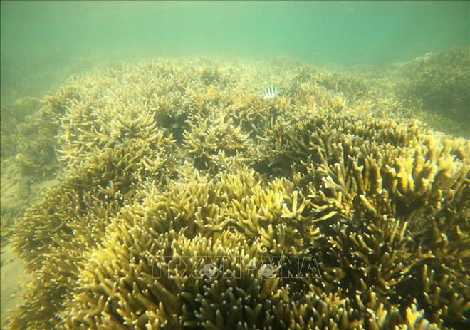 5·22生物多样性日: 携手修复生态系统 ảnh 2 5·22生物多样性日: 携手修复生态系统 ảnh 2