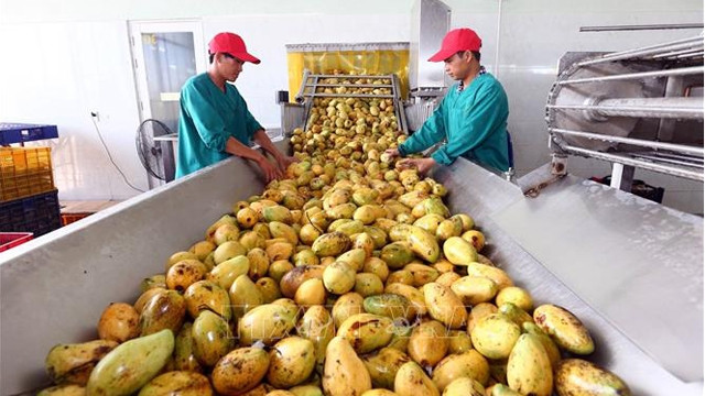 越南企业向伊朗出口潜力巨大 ảnh 1 越南企业向伊朗出口潜力巨大 ảnh 1