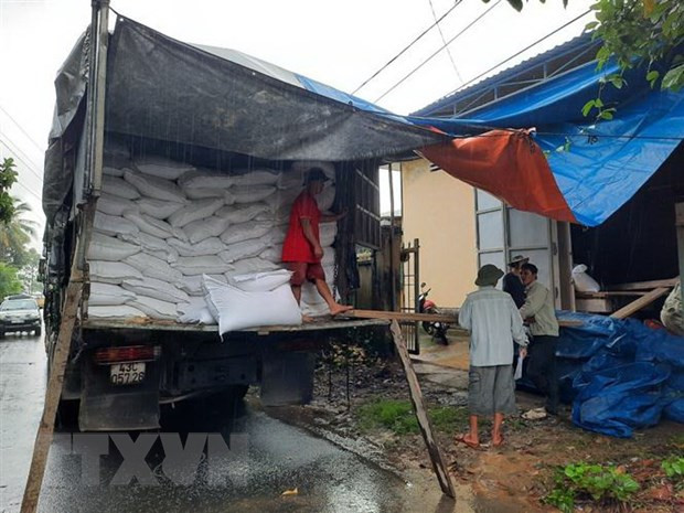 越南政府总理决定向中部受灾三省发放大米 ảnh 1