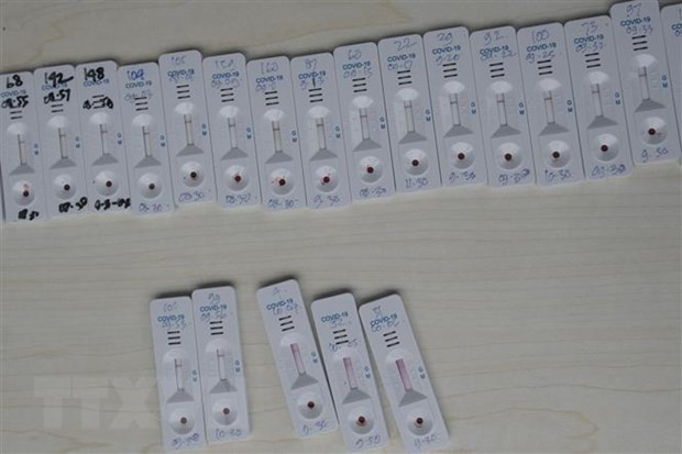 ASEAN 2020:东盟经济部长一致同意为必要产品贸易活动创造便利条件 ảnh 1 ASEAN 2020:东盟经济部长一致同意为必要产品贸易活动创造便利条件 ảnh 1