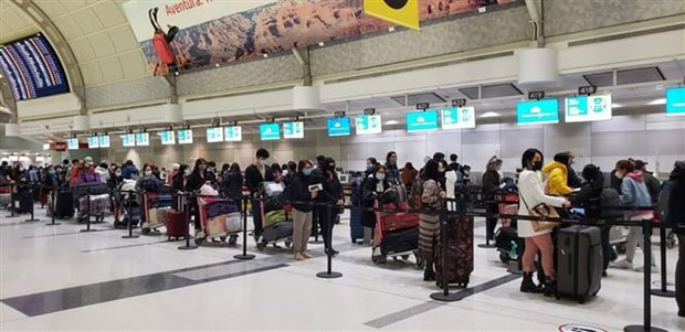 将在加拿大近350名越南公民接回国 ảnh 1