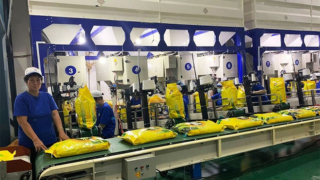 为越南企业向欧盟出口大米提供支持 ảnh 1