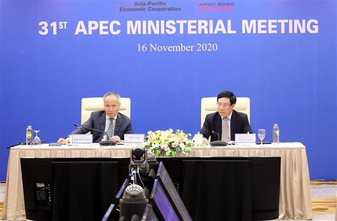 政府副总理兼外交部长范平明出席亚太经合组织第31届部长级会议 ảnh 1 政府副总理兼外交部长范平明出席亚太经合组织第31届部长级会议 ảnh 1