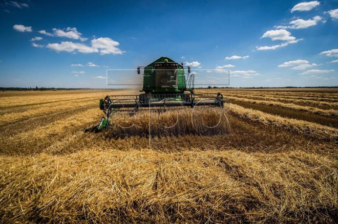 RCEP协定：日本将不会减征或免征对进口到该国的主要农产品进口关税 ảnh 1