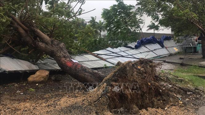 第12号台风致2人死亡 多地遭受财产损失 ảnh 1 第12号台风致2人死亡 多地遭受财产损失 ảnh 1