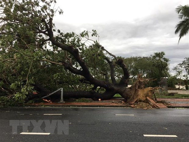 第13号台风袭击 越南中部地区损失严重 ảnh 1 第13号台风袭击 越南中部地区损失严重 ảnh 1