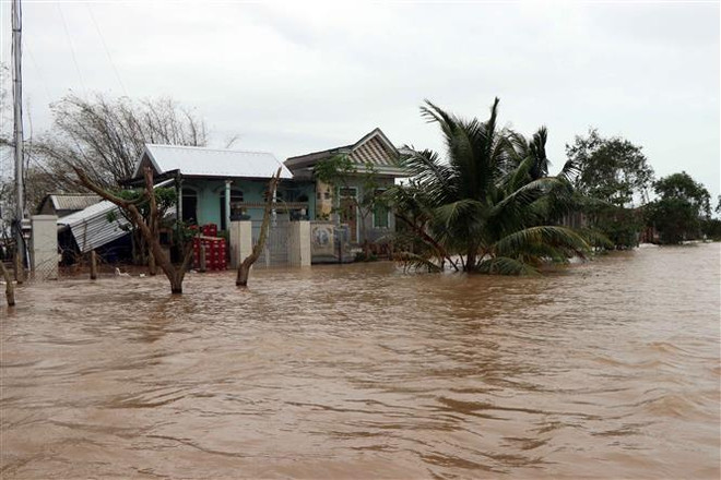越南各地主动应对第13号台风 ảnh 1