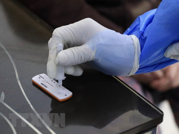 2月4日越南报告新增确诊病例11594例 ảnh 1 2月4日越南报告新增确诊病例11594例 ảnh 1