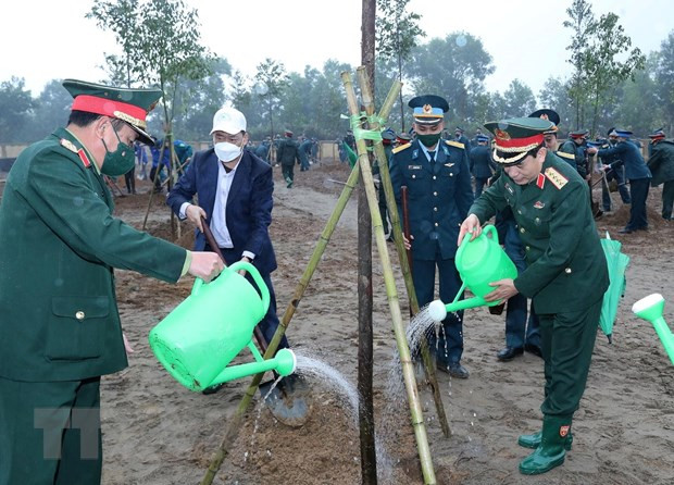 今年全军奋斗种植330万棵树和造林2469公项 ảnh 1
