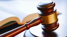 2022年:创造便利法律环境 推动经济社会发展 ảnh 1 2022年:创造便利法律环境 推动经济社会发展 ảnh 1