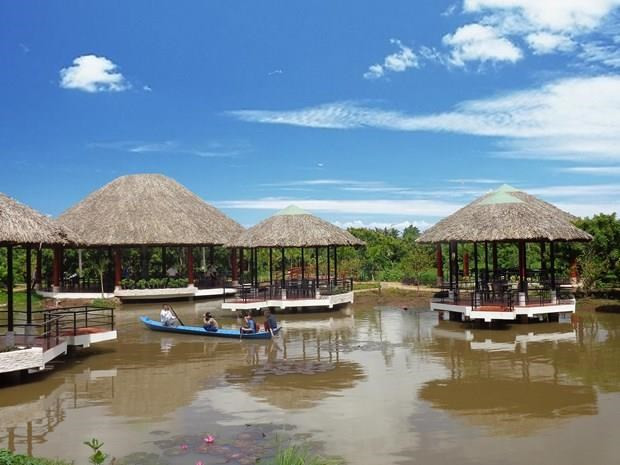 茶荣和广平两省在春节假期中吸引大量游客前来参观 ảnh 1