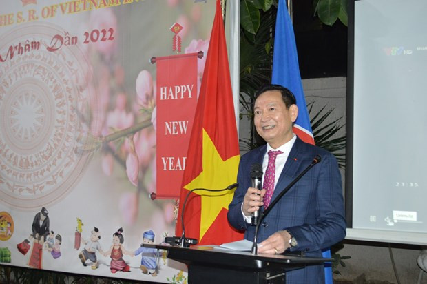 越南驻埃及大使馆举行虎年春节迎春活动 ảnh 1 越南驻埃及大使馆举行虎年春节迎春活动 ảnh 1
