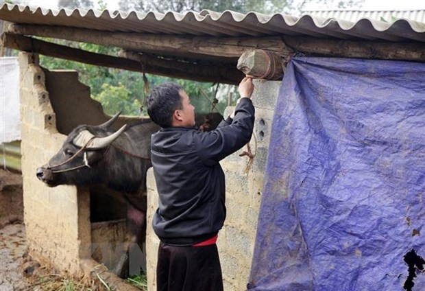越南北部各省市主动应对危险天气 ảnh 1 越南北部各省市主动应对危险天气 ảnh 1
