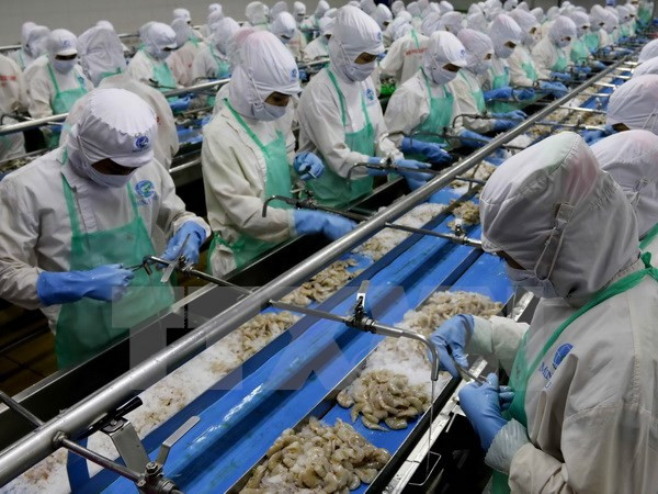 越南与文莱力争实现至2025年双向贸易额达5亿美元的目标 ảnh 1