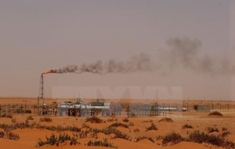 沙特阿拉伯加强与印尼的合作关系 ảnh 1