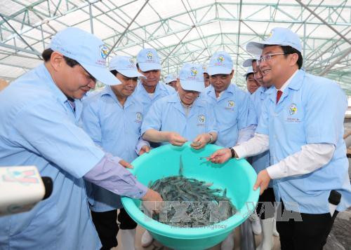 阮富仲总书记:薄辽省应优先发展高科技优质农业 ảnh 2  阮富仲总书记:薄辽省应优先发展高科技优质农业 ảnh 2