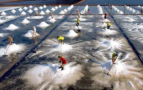 越南在印度国际摄影大赛夺得七枚金牌 ảnh 1 越南在印度国际摄影大赛夺得七枚金牌 ảnh 1