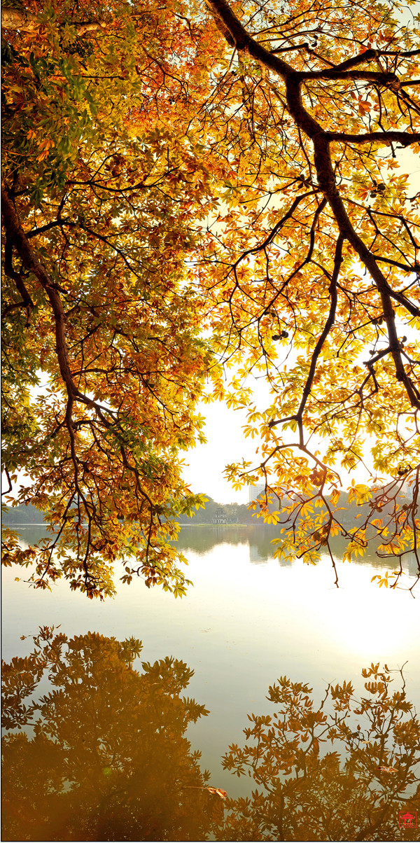 “还剑湖色彩”摄影图片展在河内举行 ảnh 5 “还剑湖色彩”摄影图片展在河内举行 ảnh 5