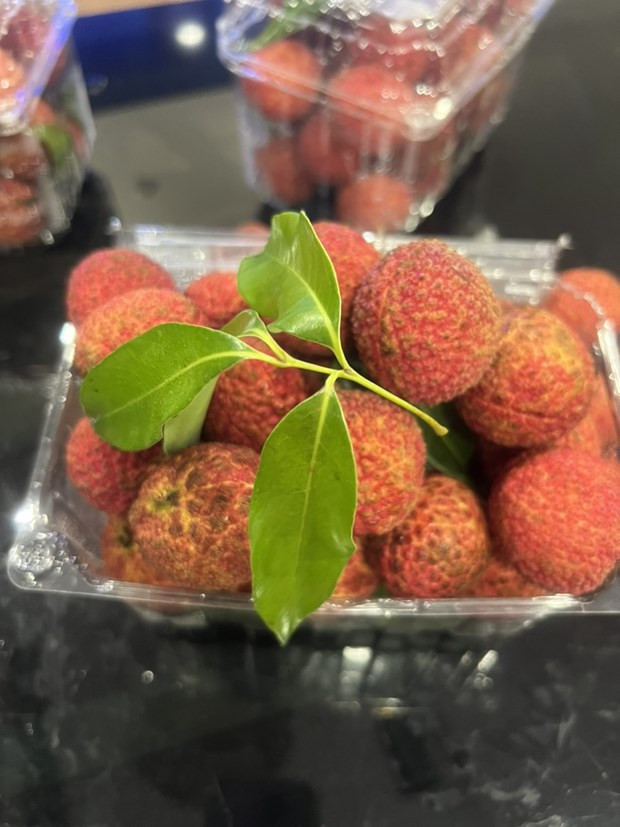 贸易促进是越南农产品销往更多市场的桥梁 ảnh 2 贸易促进是越南农产品销往更多市场的桥梁 ảnh 2