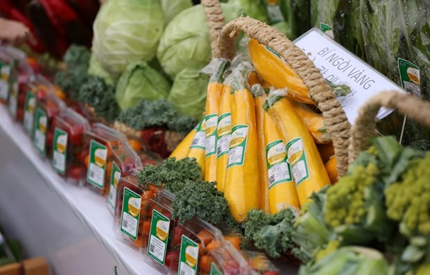 越南成为经济可持续发展领先国家之一 ảnh 2 越南成为经济可持续发展领先国家之一 ảnh 2