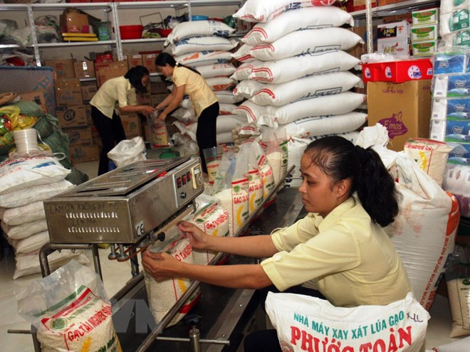 越南政府决定向全国9个省发放救济大米 ảnh 1 越南政府决定向全国9个省发放救济大米 ảnh 1